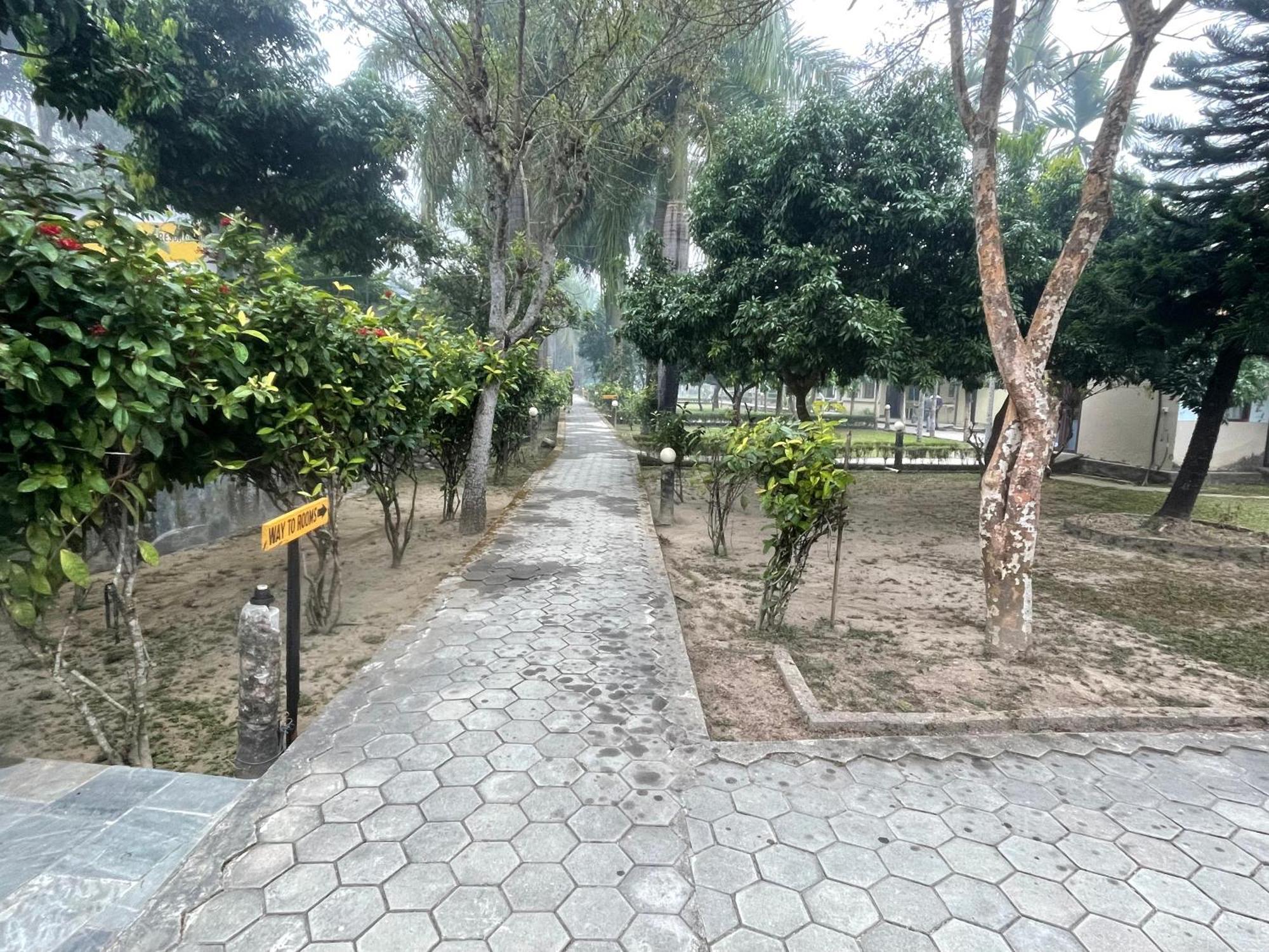 Chitwan Riverside Resort Sauraha Esterno foto