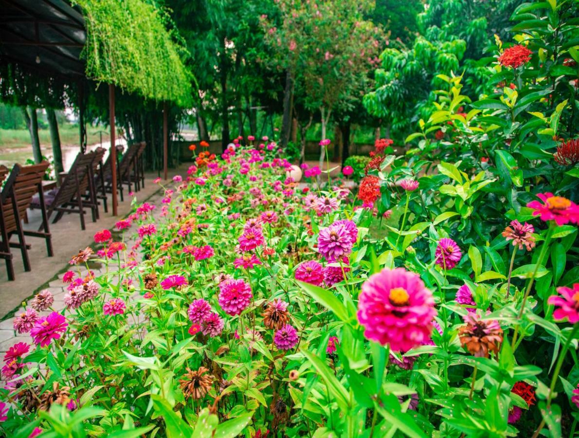 Chitwan Riverside Resort Sauraha Esterno foto